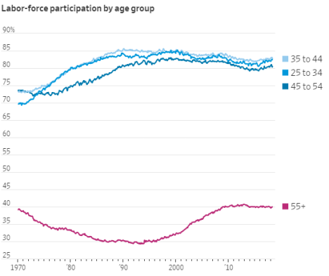 labor force participation rate by age cohort
